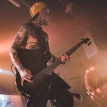 To the Rats and Wolves